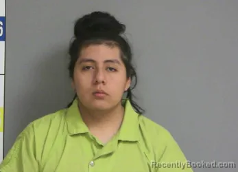 Booking photo from La Salle County, Illinois