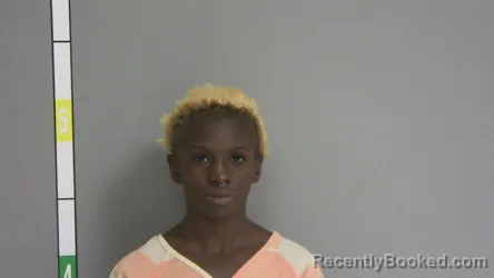 Mugshot of Terionna Ciara Willis booked in La Salle County, Illinois on October 26, 2026