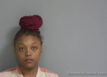 Mugshot of QUANAYIA G BARNETT MCGHEE