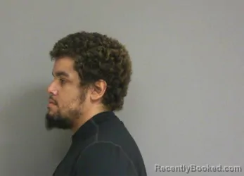 Booking photo from La Salle County, Illinois