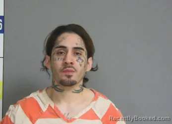 Booking photo from La Salle County, Illinois