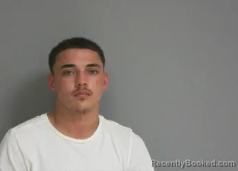 Mugshot of TRYSTIN THOMAS JOHNSON booked in La Salle County, Illinois on April 3, 2026