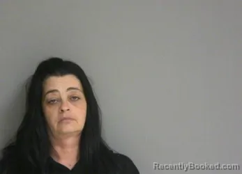 Mugshot of BRANDY ANN GUNDERSON booked in La Salle County, Illinois on May 7, 2026