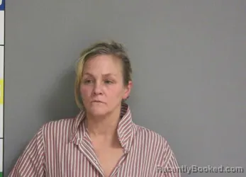 Booking photo from La Salle County, Illinois