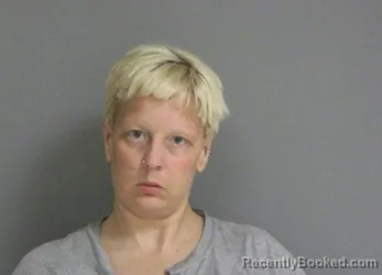 Mugshot of BRANDI JO PYLES booked in La Salle County, Illinois on May 14, 2026