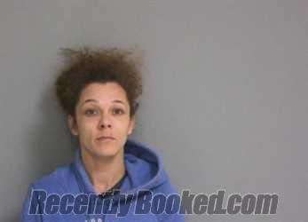 Mugshot of Deana Nicole Mesarchik booked in La Salle County, Illinois on September 16, 2026