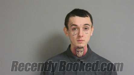 Booking photo from La Salle County, Illinois