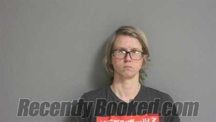 Booking photo from La Salle County, Illinois