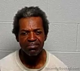 Mugshot of LAMERIA E HARVEY booked in Lake County, Illinois on March 21, 2026