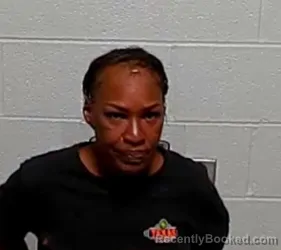 Mugshot of NATASHA PATRICE TIMMONS booked in Lake County, Illinois on March 26, 2026