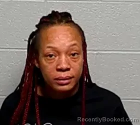 Mugshot of DARNISHA LACHAY GAYDEN booked in Lake County, Illinois on March 22, 2026