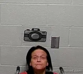 Mugshot of ANGELA NICOLE ROMANO booked in Lake County, Illinois on July 11, 2026