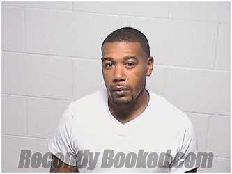 Booking photo from Lake County, Illinois