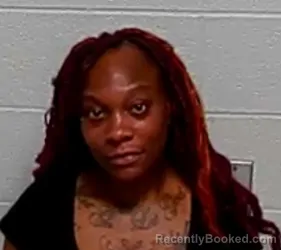 Mugshot of DIONNA M SILER booked in Lake County, Illinois on March 25, 2026