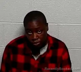 Mugshot of ROYSHELL L RHYAN booked in Lake County, Illinois on March 21, 2026