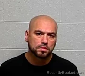 Mugshot of LUIS V SANCHEZ
