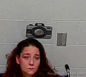 Mugshot of ERIN M DEVEAU