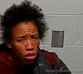 Mugshot of MYRA V ANDERSON booked in Lake County, Illinois on March 27, 2026