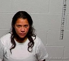 Mugshot of Maria De Jesus Hernandez booked in Lake County, Illinois on August 12, 2026