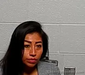 Booking photo from Lake County, Illinois