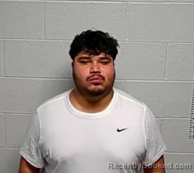 Mugshot of RENE J RUIZ