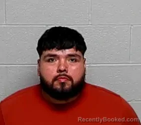 Mugshot of Manuel Cardoza booked in Lake County, Illinois on August 17, 2026