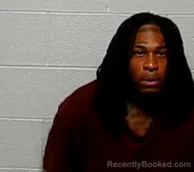 Mugshot of TYRAN L JAMES booked in Lake County, Illinois on May 26, 2026