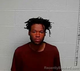 Mugshot of LYNNDALE L SCALES booked in Lake County, Illinois on April 1, 2026