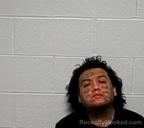 Mugshot of EVARISTO D VASQUEZ-PEREZ