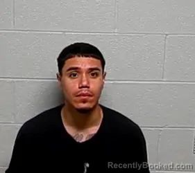 Booking photo from Lake County, Illinois