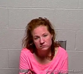 Mugshot of KRISTEN R OLSON booked in Lake County, Illinois on March 28, 2026