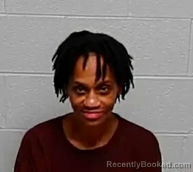 Mugshot of CHANTILLIQUE JAMOYLL MARIE TANNER booked in Lake County, Illinois on March 23, 2026