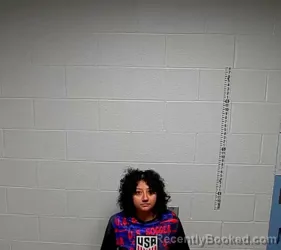 Mugshot of ANA K FRANCO booked in Lake County, Illinois on July 4, 2026