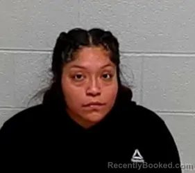 Mugshot of JOCELYN NERI booked in Lake County, Illinois on March 13, 2026