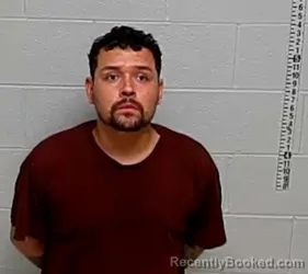 Booking photo from Lake County, Illinois