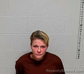 Mugshot of Roxanne L Harrah booked in Lake County, Illinois on October 19, 2026