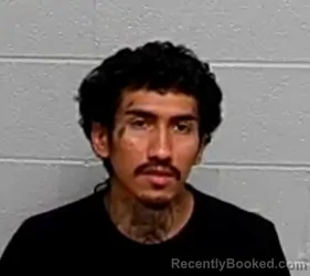 Mugshot of RICARDO R PEREZ-DAVILA booked in Lake County, Illinois on June 26, 2026