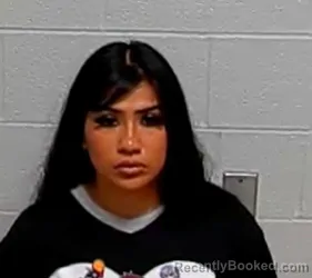 Mugshot of ALONDRA DIAZ booked in Lake County, Illinois on March 20, 2026