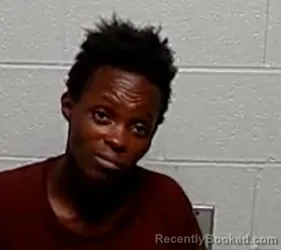 Mugshot of DENISE L TURNER booked in Lake County, Illinois on March 30, 2026