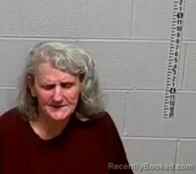Mugshot of DEBORAH LOSASSO booked in Lake County, Illinois on May 2, 2026