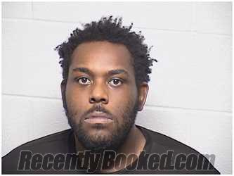 Booking photo from Lake County, Illinois