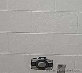 Mugshot of BIOLA J EFFIOK booked in Lake County, Illinois on March 27, 2026