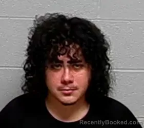 Mugshot of ALFONSO ALVAREZ