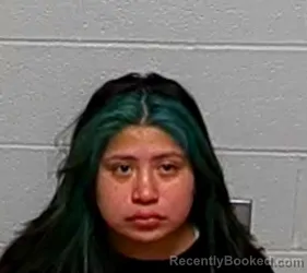 Mugshot of LIZBETH FLORES booked in Lake County, Illinois on March 26, 2026