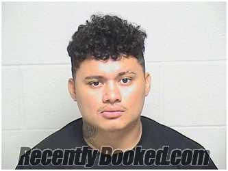 Booking photo from Lake County, Illinois