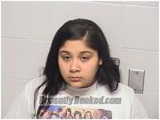 Booking photo from Lake County, Illinois