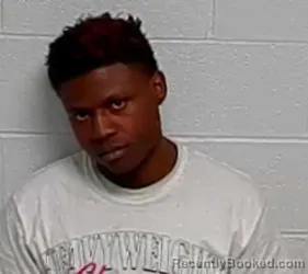 Mugshot of KENDAL R DAMPIER booked in Lake County, Illinois on March 27, 2026