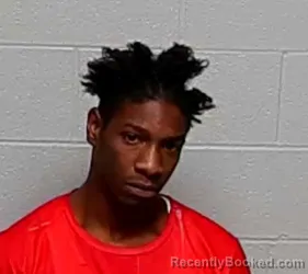 Booking photo from Lake County, Illinois