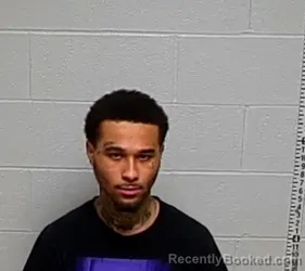 Booking photo from Lake County, Illinois