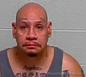 Mugshot of JOSE L HERNANDEZ